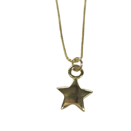 Shiny Star Charm Necklace