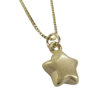 Small 3-D Star Charm Necklace
