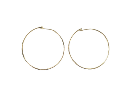 Thin Flat Eternity Hoops