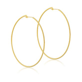 Sheila Fajl Monica Hoops main image 1