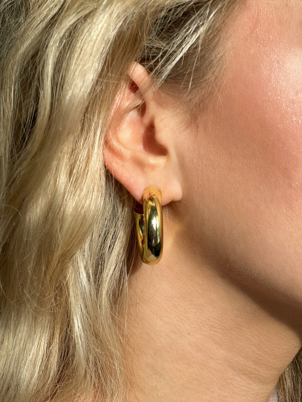 Sheila Fajl Small Chantal Hoops