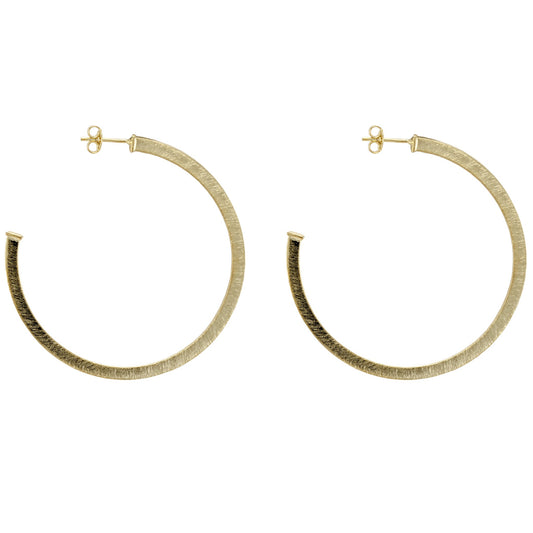 Silvia Hoops