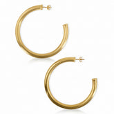 Sheila Fajl Arlene Hoops